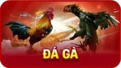 Đá gà Luck8